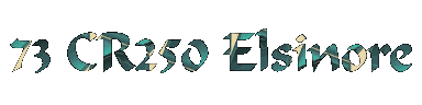 73 CR250 Elsinore.gif (40490 bytes)