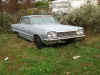 Impala-1964EddieRoss.jpg (187354 bytes)