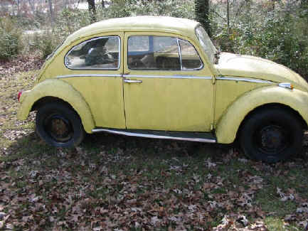 VW-Beetle1965AndrewRohde.jpg (23813 bytes)